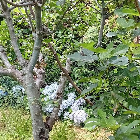 Willa Vivienda Con Jardin Terraza Y Barbacoa Picona Zewnętrze zdjęcie